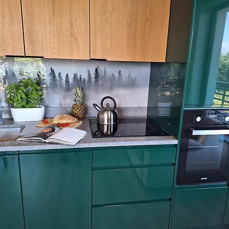 Apartamenty Sauna Bania Mieroszyno Room photo